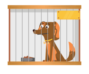 dog crate