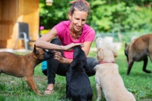 Guide for New Dog Owners