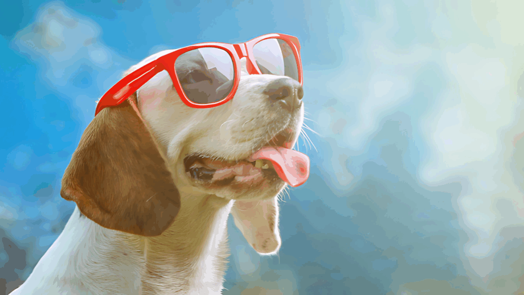 Dog out in the sun wearing red sunglasses